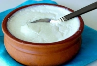 টকদই বানানোর রেসিপি