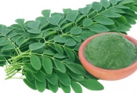 সজনে পাতার গুণের শেষ নেই, যা জানলে চোখ কপালে উঠবে!