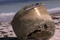 কোন প্রাণীর দেহে লোম থাকে না?