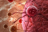 বড় সুখবর ক্যানসারের চিকিৎসা নিয়ে, এলো নতুন যে ওষুধ