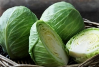 বাঁধাকপি খাওয়ার যত উপকারিতা, জানলে অবাক হবেন