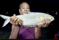 'এতো বড় ইলিশ ঢালচর মাছ ঘাটে দেখা যায়নি'