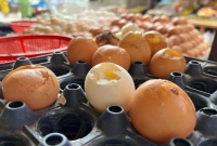 ‘ফাটা ডিম’ কিনতে শুরু করেছেন নিম্ন আয়ের মানুষ