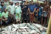 ৪০ লাখ টাকার ইলিশ পেলেন একবার জাল ফেলেই!