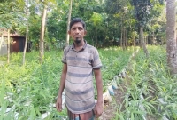 সবাইকে অবাক করে দিলেন বস্তায় আদা চাষ করে!