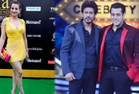 শাহরুখ ও সালমানকে না বলে দেন আমিশা! 