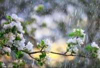 ১৯ বছর পর বিরল ঘটনা, ৩০ দিনের পরিবর্তে ৫৯ দিনে মাস