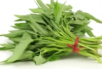 কলমি শাকের পুষ্টিমান অনেক নামীদামি খাবারের চেয়েও বেশি