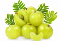 শীতে আমলকী খেলে মিলবে ৫ উপকারিতা