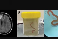 বিশ্ব এবং মানব ইতিহাসে এই প্রথম এমন ঘটনা!
