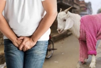 ছাগল নিয়ে ঝগড়া, গোপন স্থানে মেরে যুবককে নপুংসক করে দিলেন প্রতিবেশী!