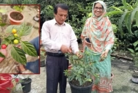 প্রতিকেজি মরিচের দাম ২৮ লাখ টাকা, উৎপাদন হচ্ছে ছাদবাগানে!