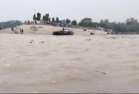 কোন প্রাণী তার জিভ মুখের বাইরে বার করতে পারে না?