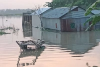 তলিয়ে গেছে শত শত একর জমির শাক-সবজি