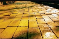 রহস্যময় রাস্তার সন্ধান সমুদ্রপৃষ্ঠের নীচে , বিজ্ঞানীমহলে রীতিমতো হইহই!