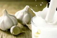 দুধ-রসুন একসঙ্গে খেলে কী হয় জানেন?
