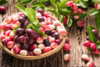 দেখতে ছোটখাটো আর ভীষণ সুন্দর এই ফল নানা পুষ্টিগুণে ভরা