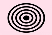 ছবিতে কয়টি বৃত্ত রয়েছে? জুম করে খুঁজে বের করুন