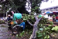 দুঃখজনক ঘটনা ঘটলো ঢাবির টিএসসিতে