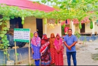 ব্যাপক সাড়া ফেলেছে বস্তা পদ্ধতিতে সবজি চাষ!