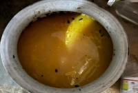 খাবারে বিষ মিশিয়ে হত্যা চেষ্টা, অল্পের জন্য প্রাণে বাঁচল মাদ্রার ৫৫ শিশু!