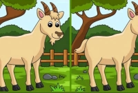 যা দেখে চমকে যাবেন ছবিটি জুম করলে!