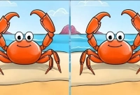 এই ছবি দিয়ে দৃষ্টিশক্তি যাচাই করুন!