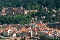 বড় সুখবর, এবার যে দেশে নতুন অভিবাসী কর্মীর চাহিদা