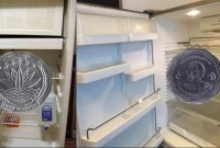 ফ্রিজে এক টাকার একটি কয়েন রাখুন, ম্যাজিকের মতো ফলাফল!