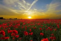 পৃথিবীর এই ৬টি জায়গা যেখানে সূর্য অস্ত যায় না রাতেও!