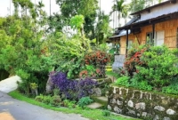 এশিয়ার সবচেয়ে পরিষ্কার গ্রাম কোনটি জানেন?