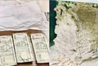 ব্যাংকের লকারে রাখা ১৮ লাখ টাকা খেল উইপোকায়