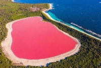 পৃথিবী এক বিশাল এবং বৈচিত্র্যময় ল্যান্ডস্কেপে পূর্ণ