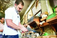 রাহুল গান্ধীকে দেখা গেল একটি আসবাবের দোকানে