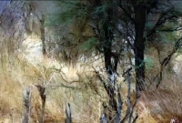 এই জঙ্গলের মধ্যে থাকা হরিণটি খুঁজে বের করুন