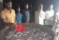 'একসঙ্গে এক টানে এত মাছ জীবনেও দেখি নাই'