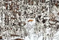 ছবিটার আসল রহস্যটা কী, সেটাই আজ খুঁজে বার করব আমরা!