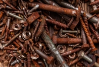 কোন প্রাণী লোহা খেয়েও হজম করতে পারে?