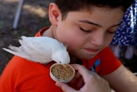 এক কাপড়ে পালানোর সময়ও প্রিয় পোষা পাখিকে ফেলে আসেনি ফিলিস্তিনি শিশু