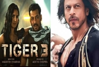 আবারও একসঙ্গে আসছেন দুই খান, টাইগার-৩-এর ট্রেলার প্রকাশ