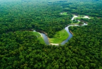  বিজ্ঞানীদের ক্যামেরায় ধরা পরল অদ্ভুত জিনিস, অবাক গোটা মানব সমাজ