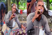 প্রতিদিন ৩-৪কেজি কাঁচা বেগুন খান আব্দুল গাফফার!