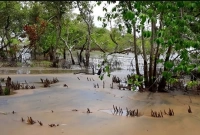 যে দ্বীপ মাত্র ৬ ঘণ্টা জেগে থাকে!