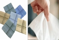 কোনটি বেশি স্বাস্থ্যকর, রুমাল নাকি টিস্যু?