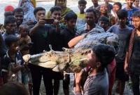 দূর হলো এলাকাবাসীর আতঙ্ক