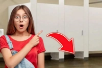 শপিংমলের টয়লেটের দরজার নিচের অংশটা খোলা থাকে কেন, জানেন? 