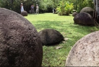 শত শত বছর ধরে রহস্যময় এই পাথরগুলি!