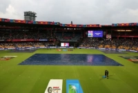 জানেন, ক্রিকেট খেলার পিচ ২২ গজ হয়ে থাকে কেন?