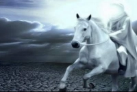 ইমাম মাহদির বিষয়ে হাদিসে যা যা বলা হয়েছে