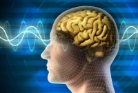 জানেন, আপনার মস্তিষ্ক কত GB?